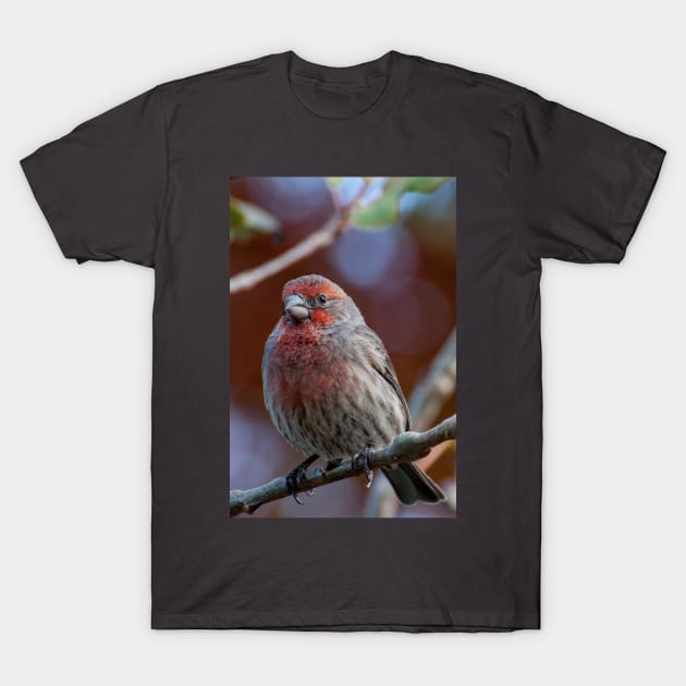 Fall Singer T-Shirt by gdb2